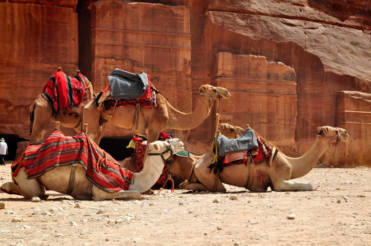 FFF-46-Jordan-Wilk-14