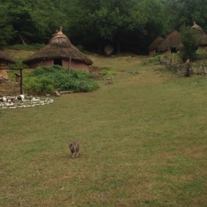 Celtic Village in Northern Spain