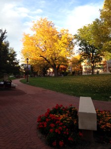 How lucky we are to call DU one of our homes