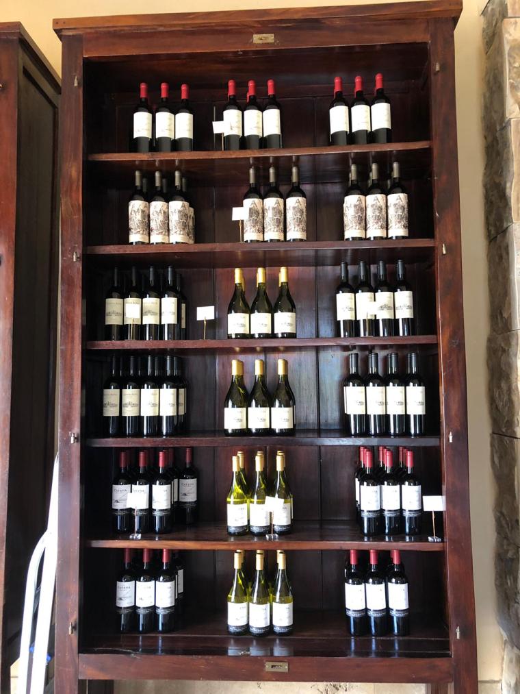 204e5b65-8bcb-4695-a5f1-15ebd075a22e